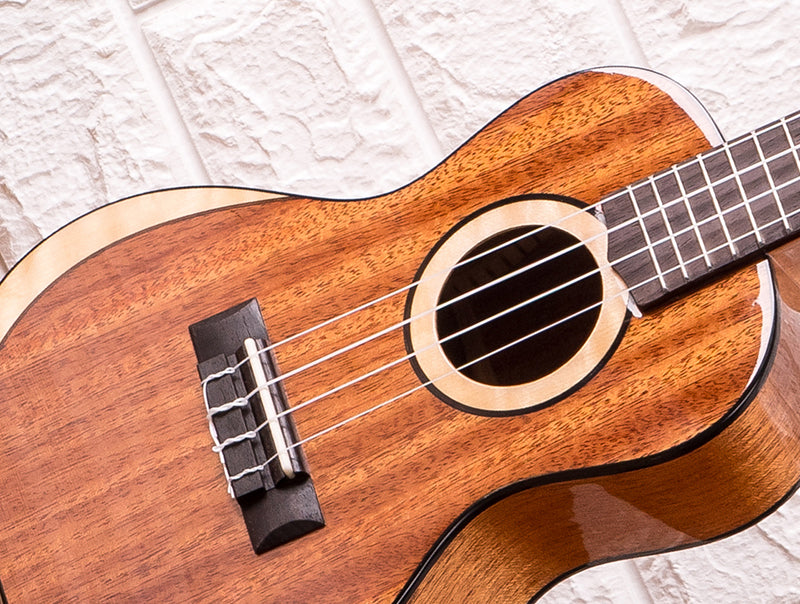 Moon Series Solid Mahogany & Maple Ukulele – PlayPro Music & Life